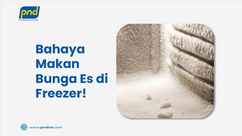 bahaya makan bunga es di freezer