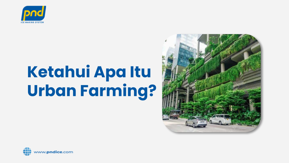Ketahui Apa Itu Urban Farming?