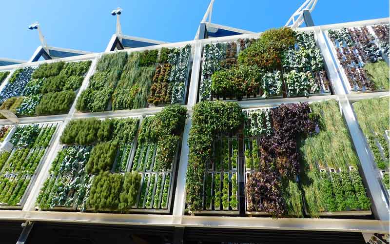 apa itu urban farming