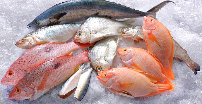 Pasar ikan modern muara baru