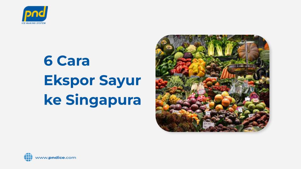 cara ekspor sayur ke singapura