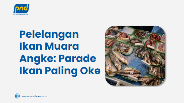 pelelangan ikan muara angke