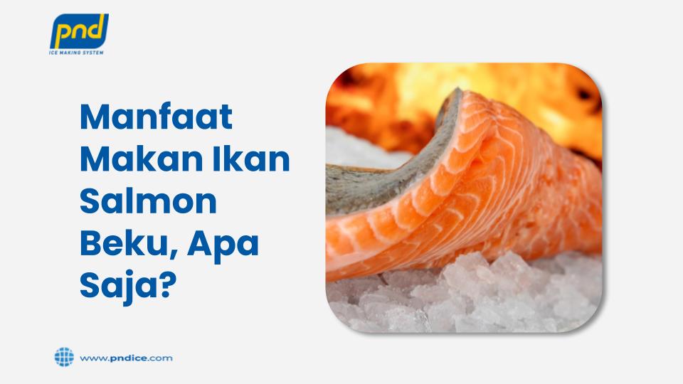 Manfaat Makan Ikan Salmon Beku