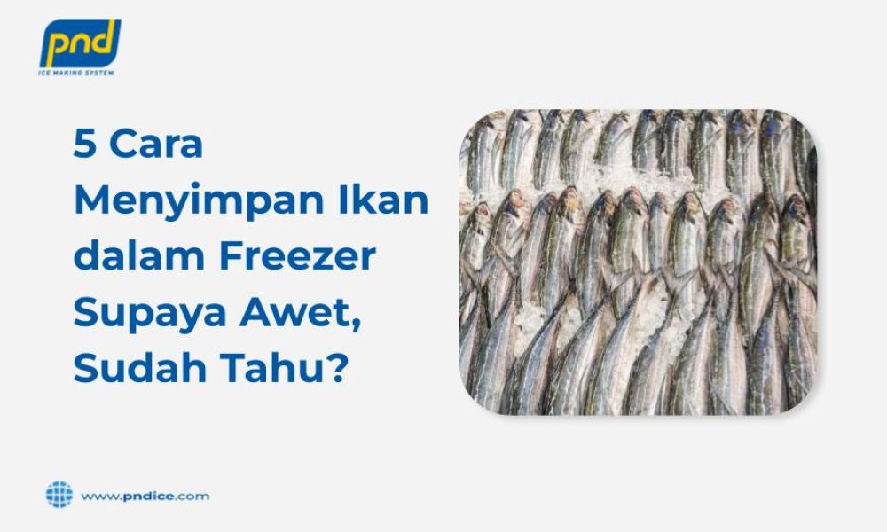 5 Cara Menyimpan Ikan dalam Freezer Supaya Awet, Sudah Tahu_