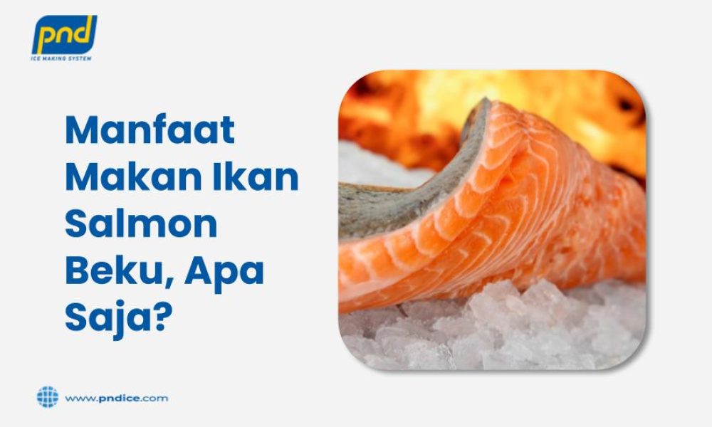Manfaat Makan Ikan Salmon Beku