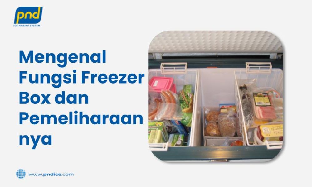 Mengenal Fungsi Freezer Box
