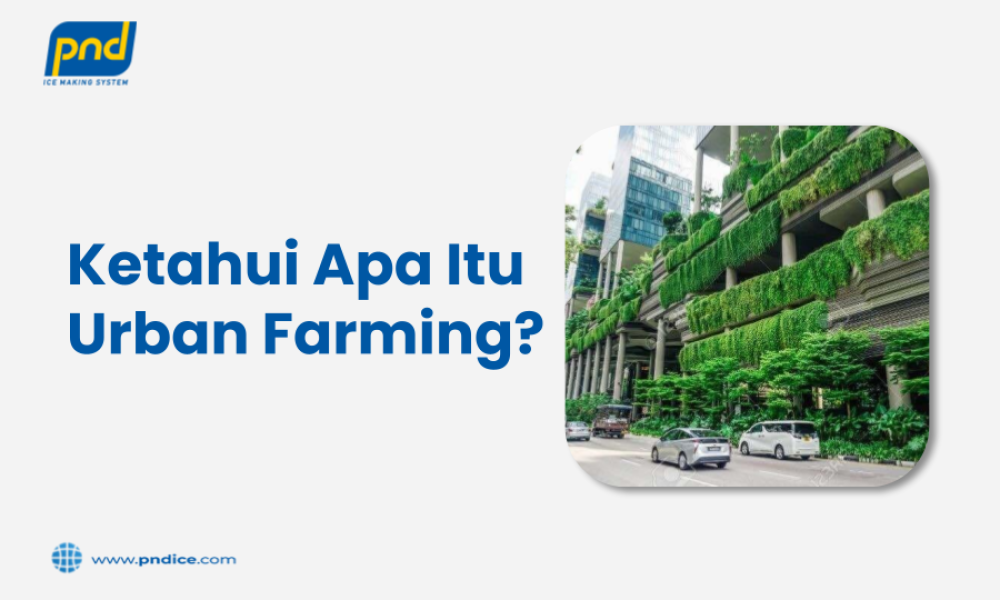 Ketahui Apa Itu Urban Farming?