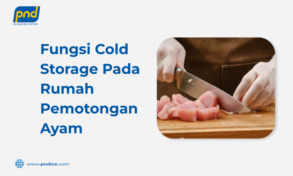 fungsi cold storage