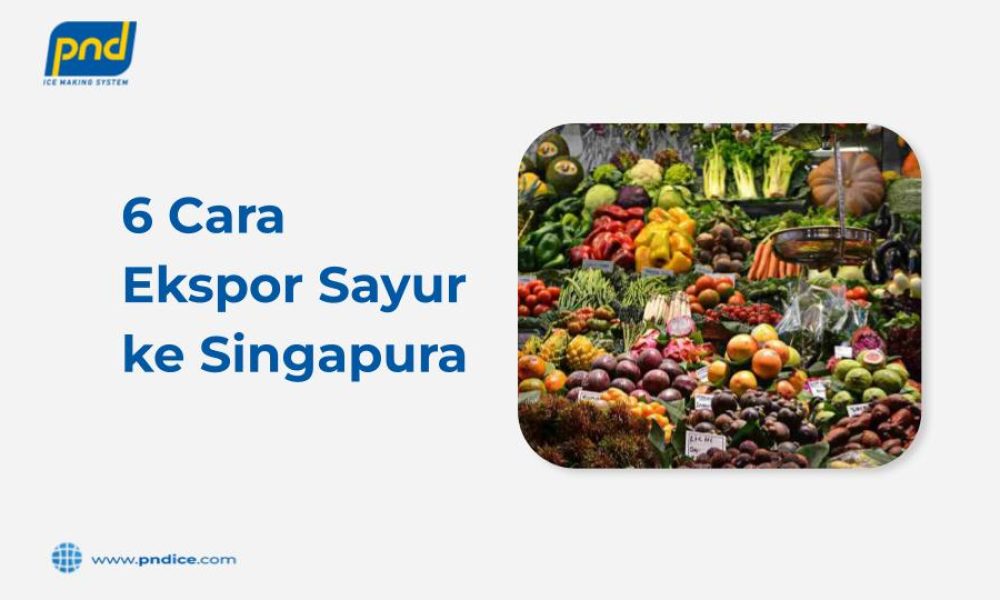 cara ekspor sayur ke singapura
